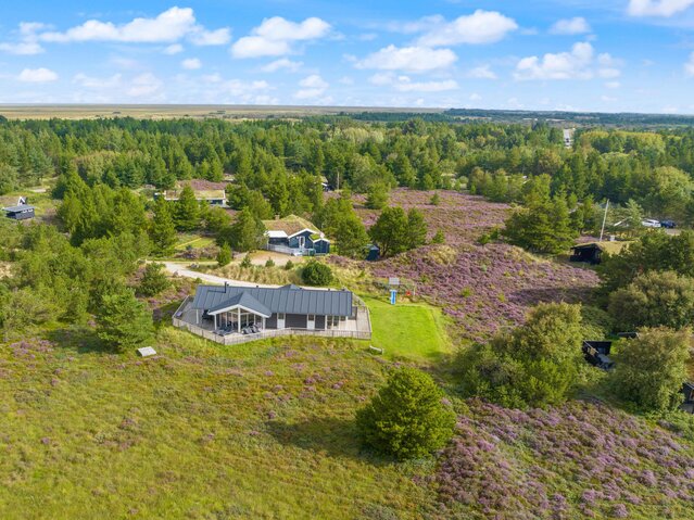 Ferienhaus 81062 in Ringvejen 33, Bolilmark, Rømø - Bild #0