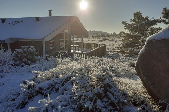 Ferienhaus 81062 in Ringvejen 33, Bolilmark, Rømø - Bild #47