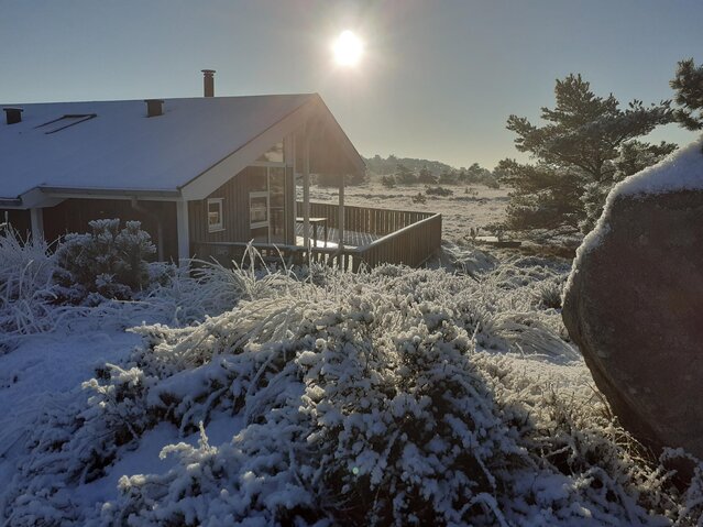 Ferienhaus 81062 in Ringvejen 33, Bolilmark, Rømø - Bild #47