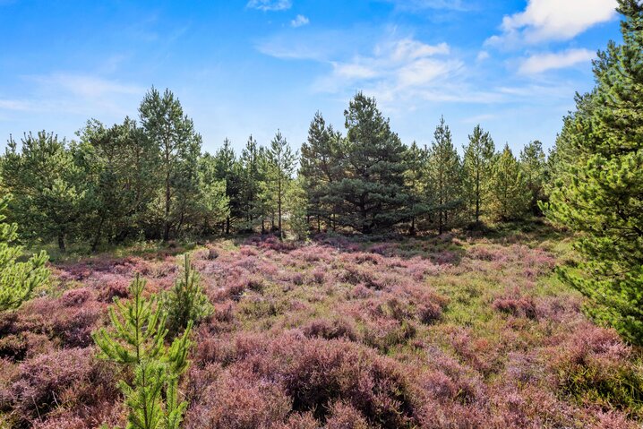 Sommerhus 81081 på Spurvevej 7, Bolilmark, Rømø - Billede #28