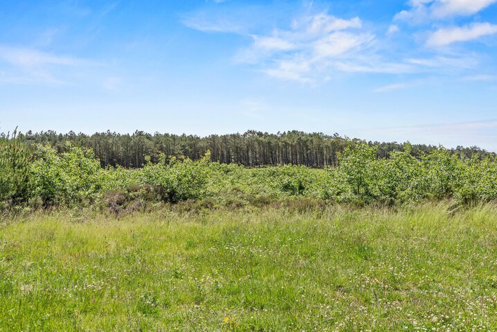 Sommerhus 81100 på Blåbærvej 20A, Bolilmark, Rømø - Billede #29
