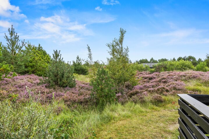 Ferienhaus 81111 in Ringvejen 32, Bolilmark, Rømø - Bild #43
