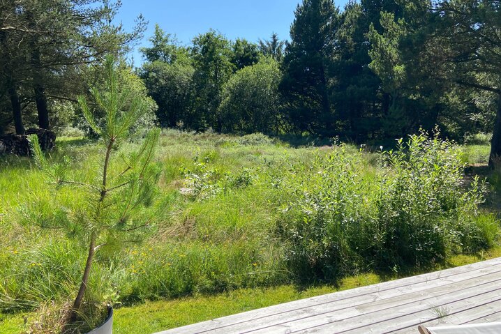 Ferienhaus 81158 in Blåbærvej 3, Bolilmark, Rømø - Bild #21