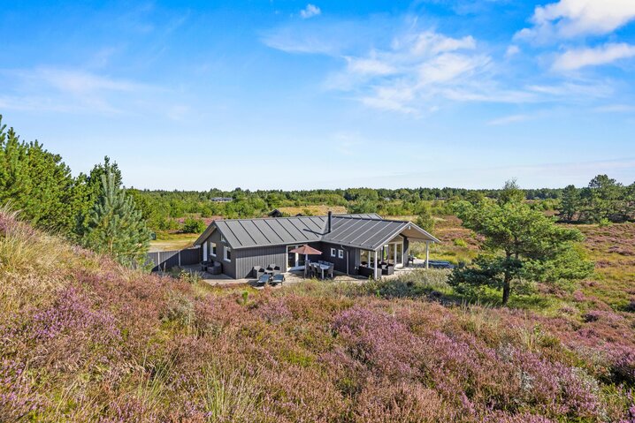 Ferienhaus 81208 in Tranebærvej 8, Bolilmark, Rømø - Bild #0