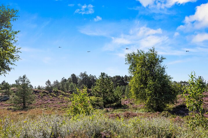 Ferienhaus 81208 in Tranebærvej 8, Bolilmark, Rømø - Bild #33