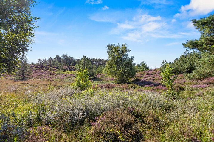Ferienhaus 81208 in Tranebærvej 8, Bolilmark, Rømø - Bild #40
