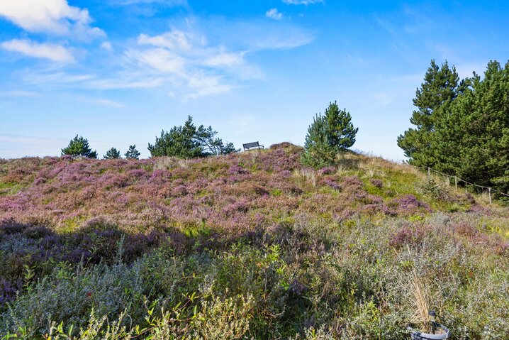 Ferienhaus 81208 in Tranebærvej 8, Bolilmark, Rømø - Bild #41