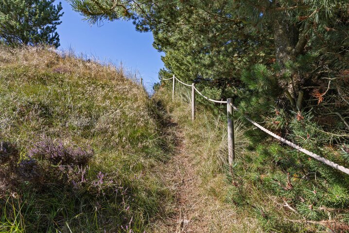 Ferienhaus 81208 in Tranebærvej 8, Bolilmark, Rømø - Bild #42