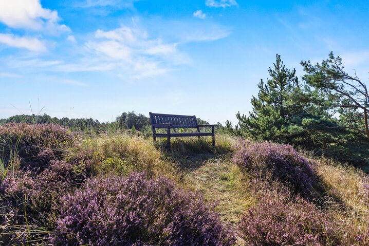 Ferienhaus 81208 in Tranebærvej 8, Bolilmark, Rømø - Bild #44