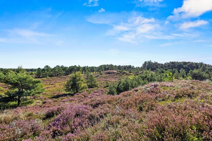 Ferienhaus 81208 in Tranebærvej 8, Bolilmark, Rømø - Bild #46