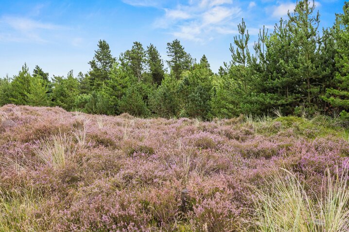 Ferienhaus 81217 in Trinnesvej 1, Bolilmark, Rømø - Bild #21