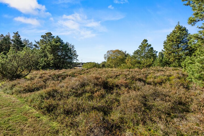 Ferienhaus 81227 in Blåbærvej 11, Bolilmark, Rømø - Bild #18