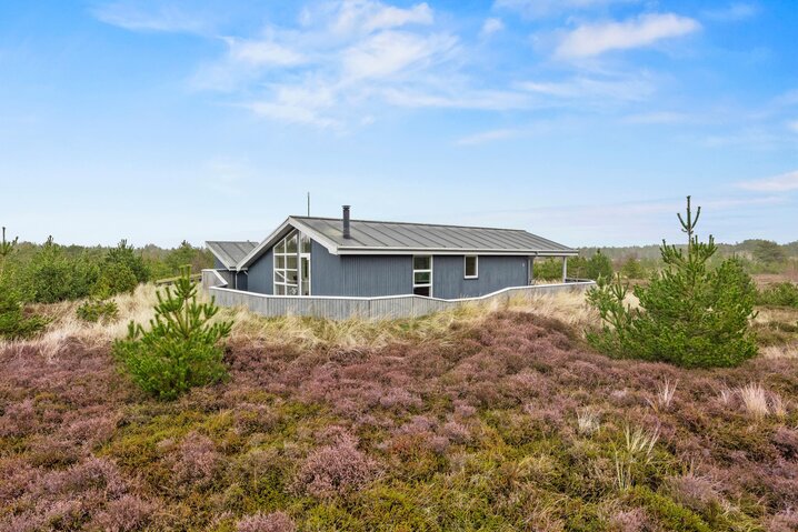 Ferienhaus 81270 in Tranebærvej 5, Bolilmark, Rømø - Bild #0