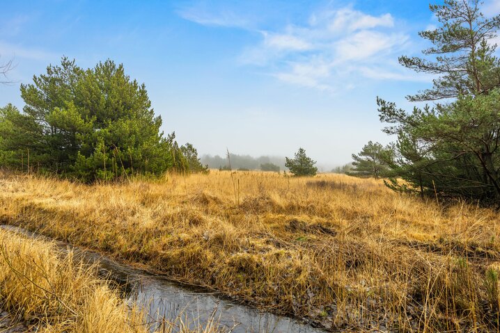Ferienhaus 81305 in Ringvejen 41, Bolilmark, Rømø - Bild #23