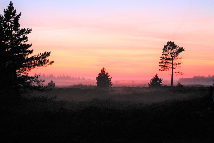 Sommerhus 82030 på Gl Skinnevej 10A, Kongsmark, Rømø - Billede #53