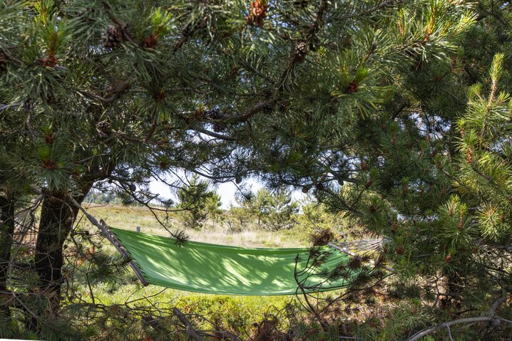 Ferienhaus 82038 in Godthåbsvej 13, Kongsmark, Rømø - Bild #32