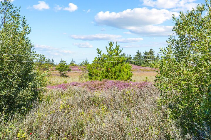 Sommerhus 82041 på Julianehåb 19, Kongsmark, Rømø - Billede #21