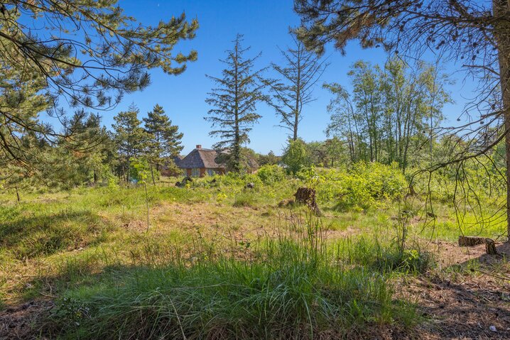 Sommerhus 82079 på Kap Farvel 11, Kongsmark, Rømø - Billede #34