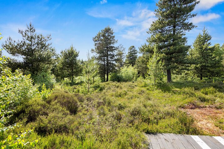 Ferienhaus 82137 in Ejnar Mikkelsensvej 20, Kongsmark, Rømø - Bild #35