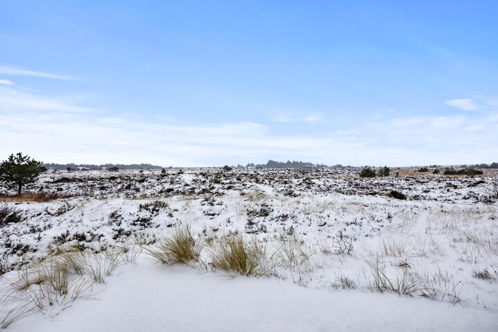 Sommerhus 82176 på Gl Skinnevej 16, Kongsmark, Rømø - Billede #31