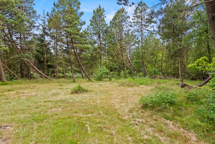 Ferienhaus 82234 in Råbjergvej 1, Kongsmark, Rømø - Bild #29