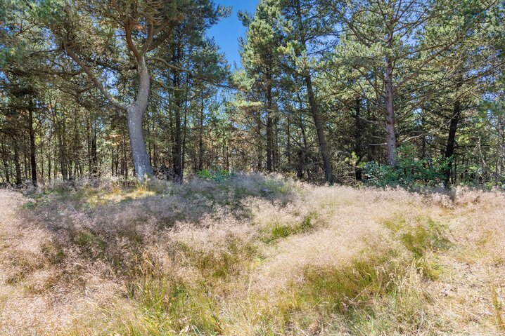 Ferienhaus 82239 in Narssagsvej 9, Kongsmark, Rømø - Bild #25