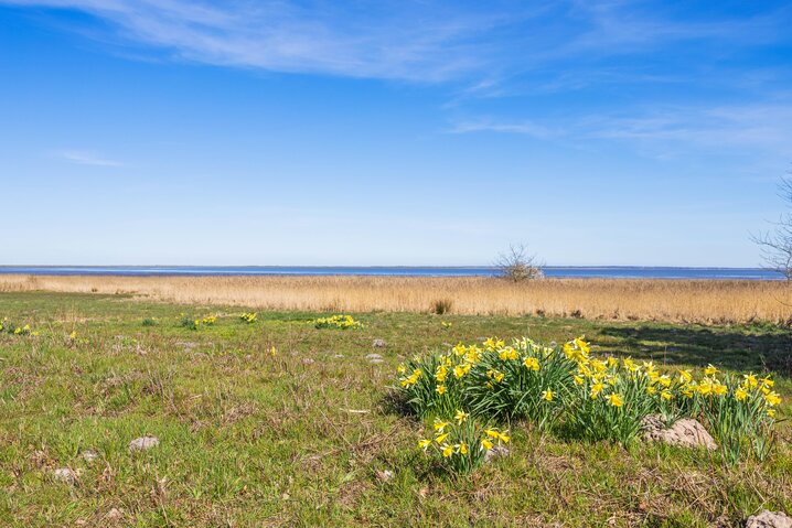 Ferienhaus 82250 in Gl Færgevej 10, Kongsmark - Bild #70