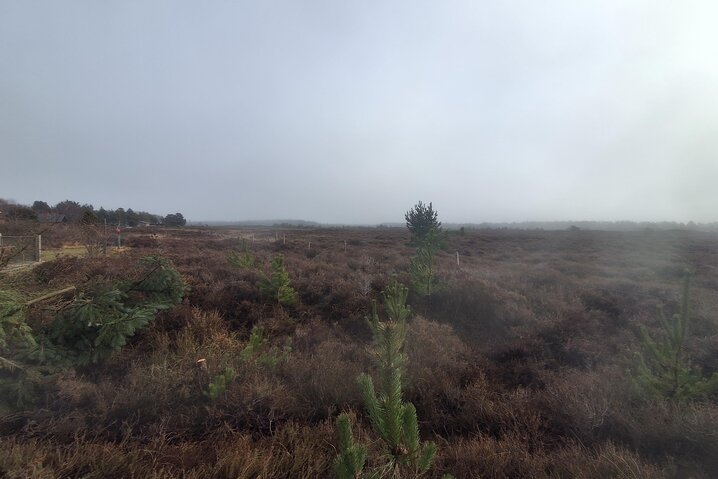 Holiday home 82302 at Mylius Erichsensvej 13, Kongsmark, Rømø - Picture #1