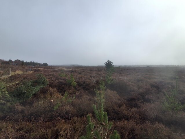 Holiday home 82302 at Mylius Erichsensvej 13, Kongsmark, Rømø - Picture #1