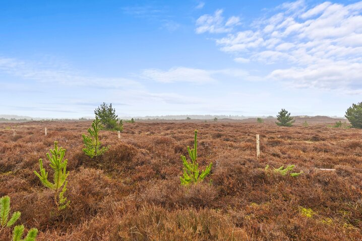 Ferienhaus 82302 in Mylius Erichsensvej 13, Kongsmark, Rømø - Bild #37