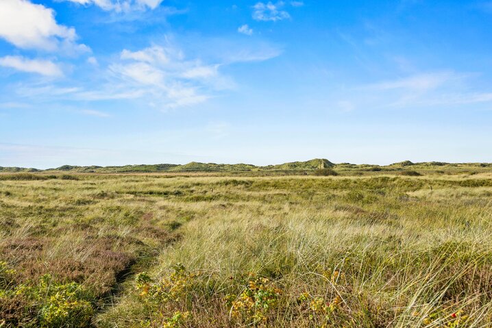 Sommerhus 83112 på Lakolk 300, Lakolk, Rømø - Billede #31