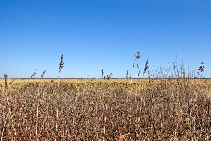 Sommerhus 83245 på Lakolk 215, Lakolk, Rømø - Billede #26