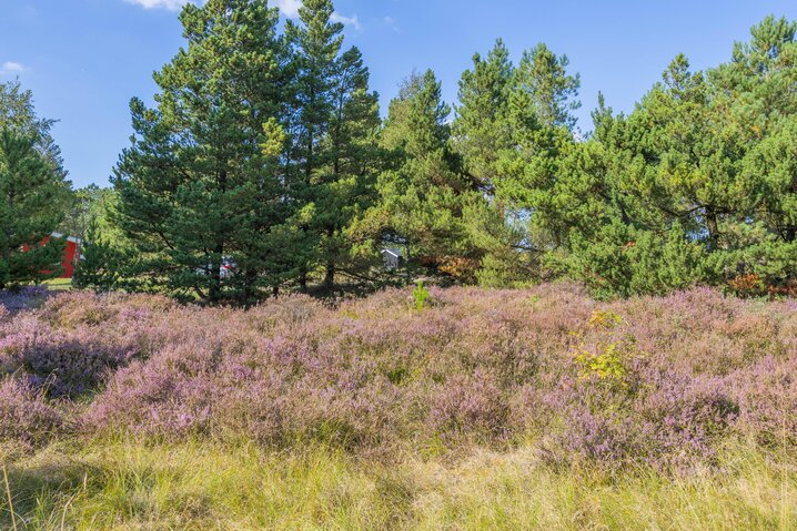 Sommerhus 84076 på Peder Jespersensvej 17, Kromose, Rømø - Billede #37