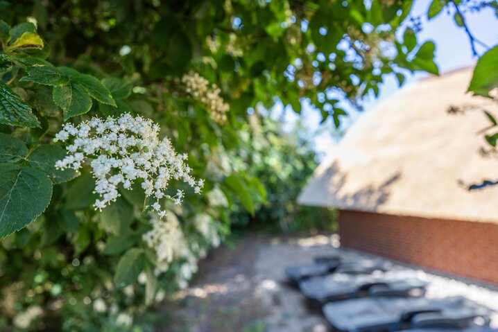 Sommerhus 84084 på P S Carlsvej 9, Kromose, Rømø - Billede #28