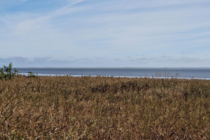 Ferienhaus 84232 in C.H. Schramms Vej 12, Kromose, Rømø - Bild #54