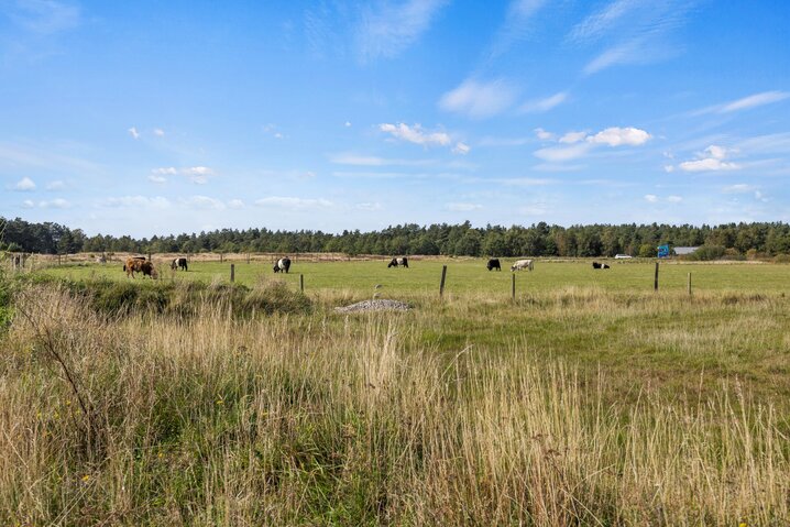 Sommerhus 84232 på C.H. Schramms Vej 12, Kromose, Rømø - Billede #44