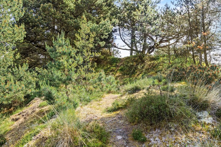 Ferienhaus 85203 in A Hveyselsvej 10, Vesterhede, Rømø - Bild #34