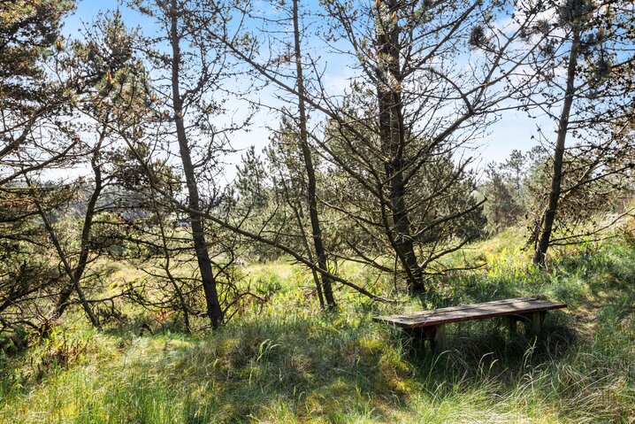 Ferienhaus 85203 in A Hveyselsvej 10, Vesterhede, Rømø - Bild #36