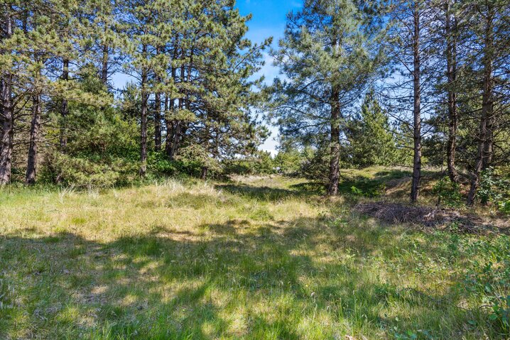Sommerhus 85205 på Lejrbjergvej 30, Vesterhede, Rømø - Billede #24