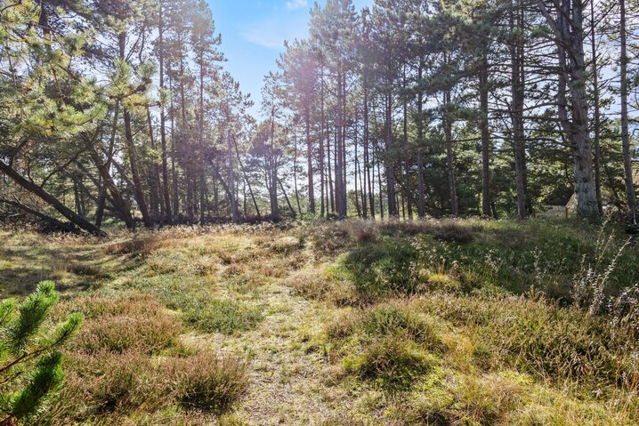 Sommerhus 85275 på A Hveyselsvej 24, Vråby - Billede #28