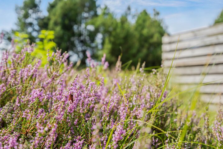 Sommerhus 85336 på A Hveyselsvej 6, Vesterhede, Rømø - Billede #24