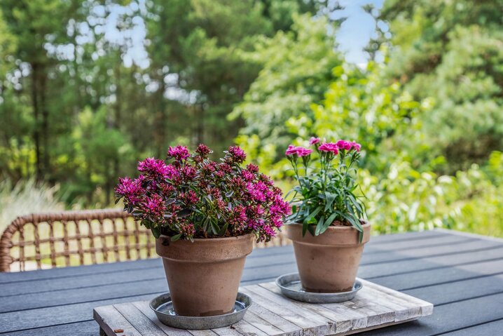 Sommerhus 85336 på A Hveyselsvej 6, Vesterhede, Rømø - Billede #31