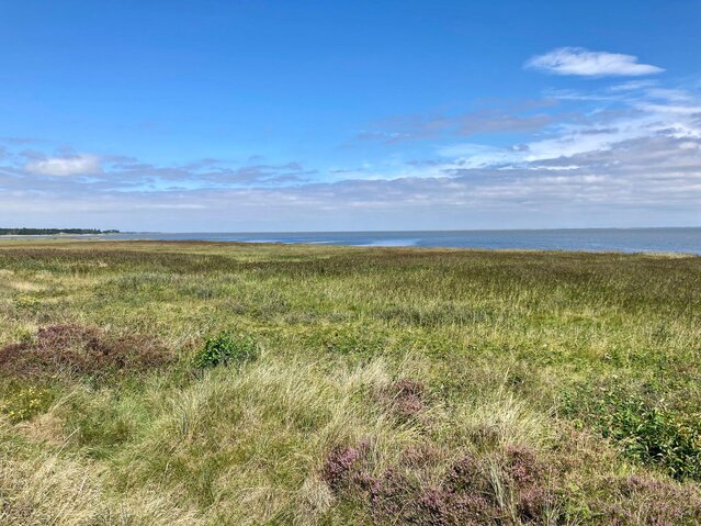 Sommerhus 86117 på Lyngvejen 99, lejl. 15, Havneby, Rømø - Billede #24