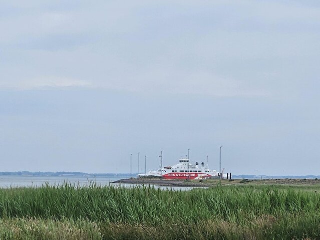 Sommerhus 86117 på Lyngvejen 99, lejl. 15, Havneby, Rømø - Billede #26