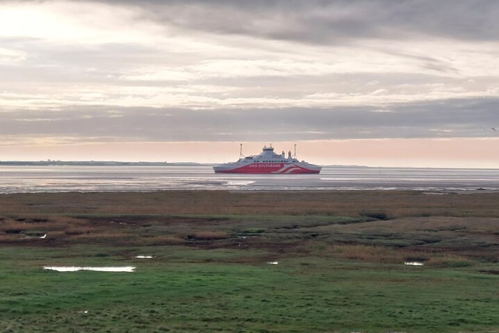 Ferienhaus 86131 in Vestergade 3E st., lejl./Whg. 61, Havneby, Rømø - Bild #25