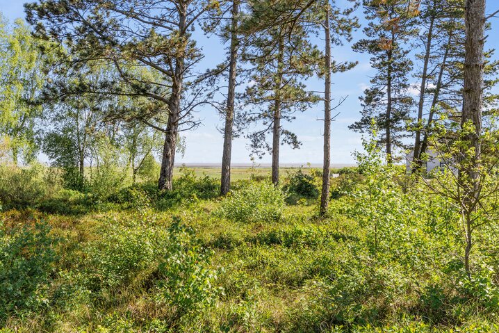 Ferienhaus 86180 in Lyngvejen 55, Havneby, Rømø - Bild #27