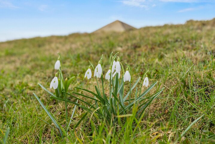 Sommerhus 86219 på Feriecenter Rim, Vestergade 225F, Hus/Haus 11, Havneby, Rømø - Billede #24
