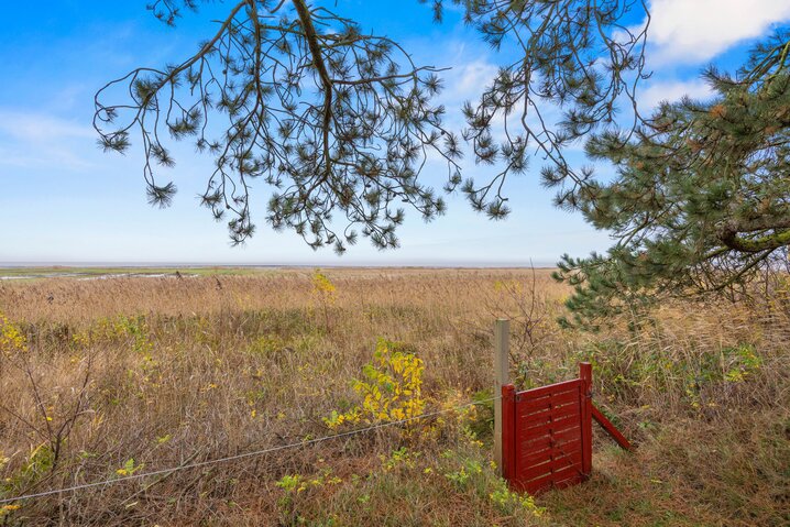 Ferienhaus 86290 in Lyngvejen 73, Havneby - Bild #21