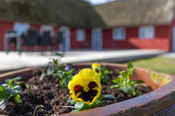 Sommerhus 86292 på Borrebjergvej 5A, Kromose, Rømø - Billede #27