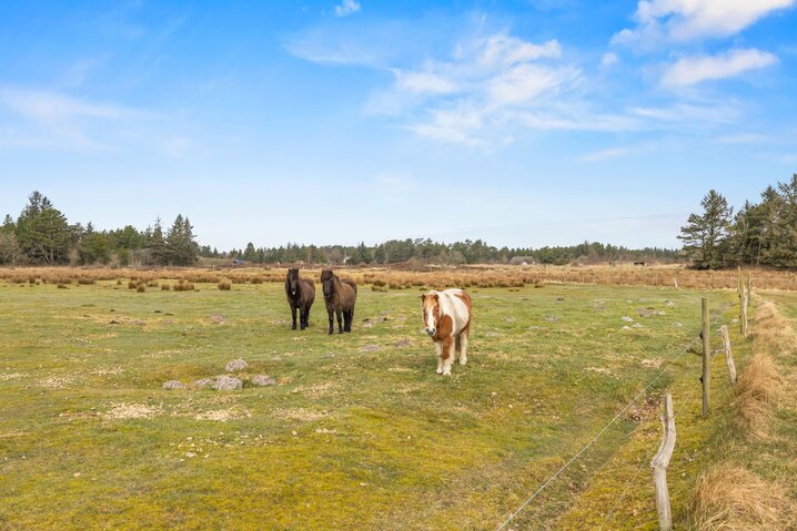 Sommerhus 86292 på Borrebjergvej 5A, Kromose, Rømø - Billede #8